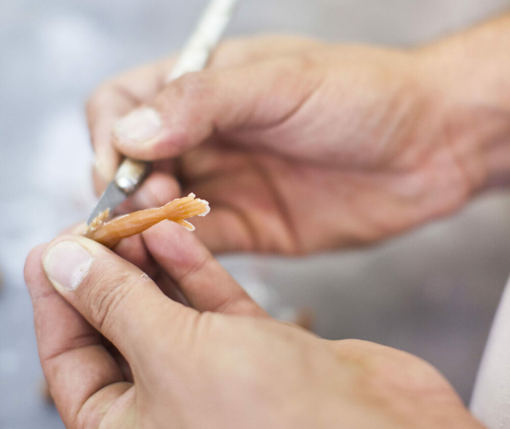 Sculpture de la cire pour l'éditer en pâte de verre